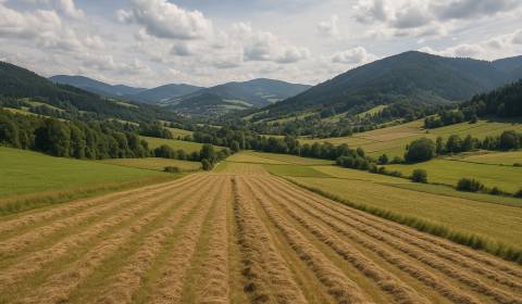 Sale Agrarian and forest land, Agrarian and forest land, Čadca, Slovak