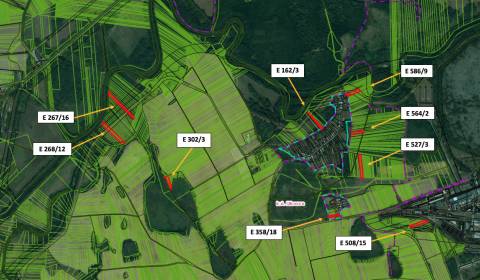 Sale Agrarian and forest land, Agrarian and forest land, Michalovce, S