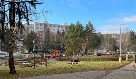Searching for One bedroom apartment, One bedroom apartment, Banská Bys