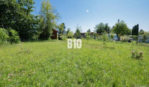 Sale Gardens, Gardens, Nitra, Slovakia