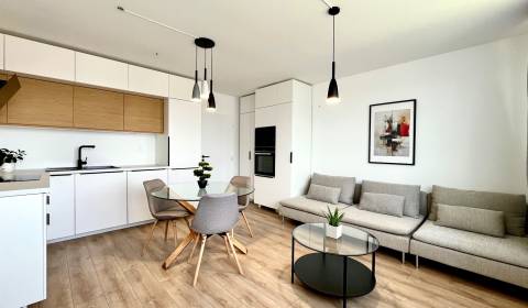 Rent One bedroom apartment, One bedroom apartment, Sokolia, Senec, Slo