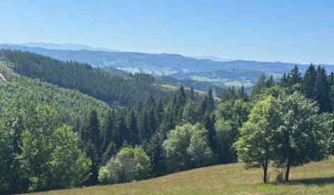 Sale Land – for living, Land – for living, Čadca, Slovakia