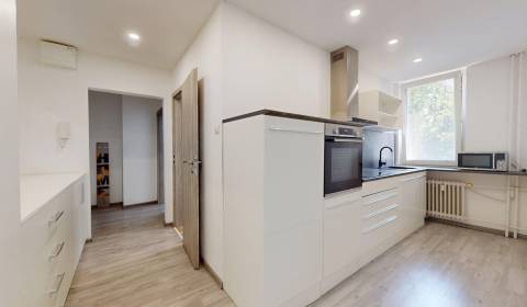 Rent One bedroom apartment, One bedroom apartment, Pri kaštieli, Skali
