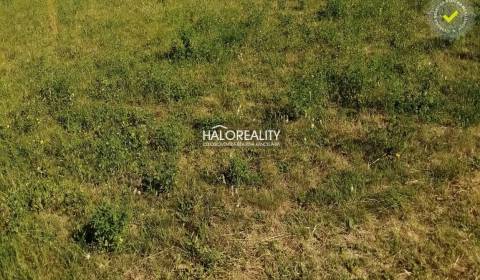 Sale Land – for living, Nové Mesto nad Váhom, Slovakia