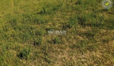 Sale Land – for living, Nové Mesto nad Váhom, Slovakia