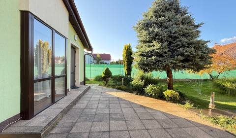 Rent One bedroom apartment, One bedroom apartment, Nové záhrady VII, B