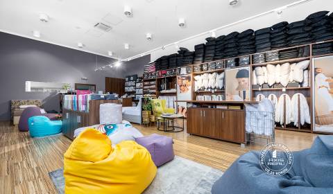 Rent Commercial premises, Commercial premises, Bosákova, Bratislava -