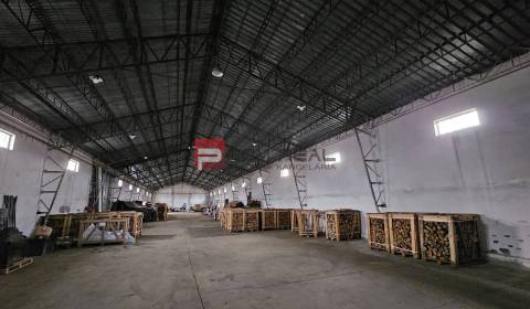 Rent Storehouses and Workshops, Storehouses and Workshops, Partizánska