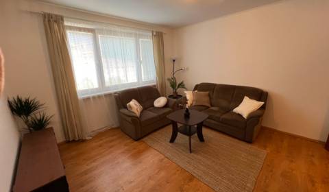 Rent One bedroom apartment, One bedroom apartment, Černyševského, Brat