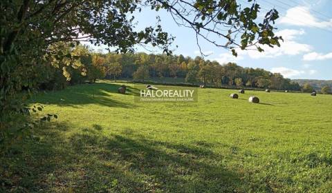 Sale Land – for living, Detva, Slovakia