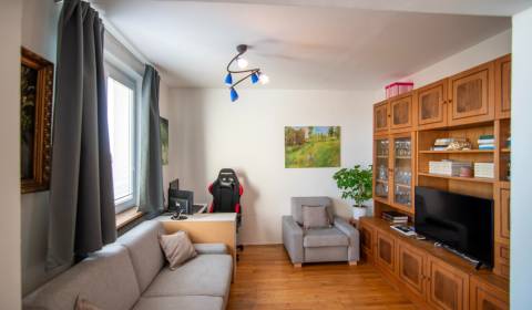 Sale Two bedroom apartment, Two bedroom apartment, Svätoplukova, Pezin