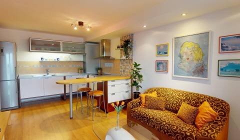 Sale One bedroom apartment, One bedroom apartment, Husitská, Nové Mest