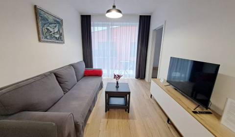 Rent One bedroom apartment, One bedroom apartment, Jilemnického , Popr
