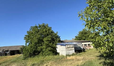 Sale Land – for living, Land – for living, Dunajská Streda, Slovakia