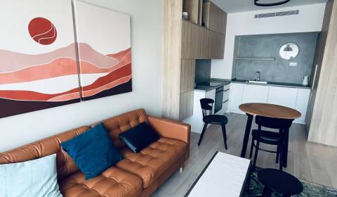 Rent One bedroom apartment, One bedroom apartment, Ota halúska, Bratis
