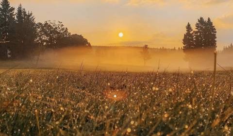 Sale Agrarian and forest land, Agrarian and forest land, Snina, Slovak