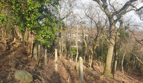 Sale Land – for living, Land – for living, Frankovská, Bratislava - No