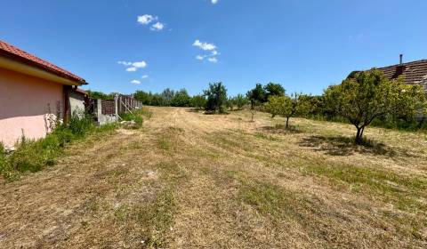 Sale Land – for living, Land – for living, Mlynská, Trebišov, Slovakia
