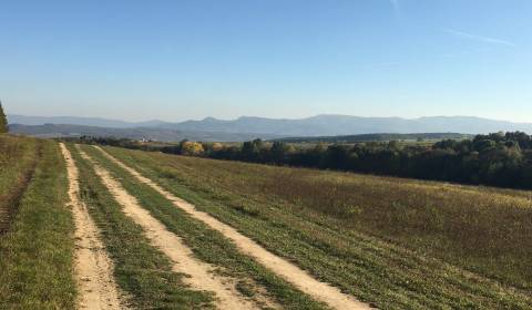 Sale Agrarian and forest land, Agrarian and forest land, Prievidza, Sl