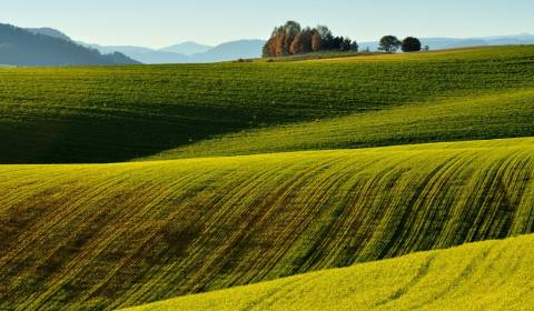 Sale Agrarian and forest land, Agrarian and forest land, Svidník, Slov