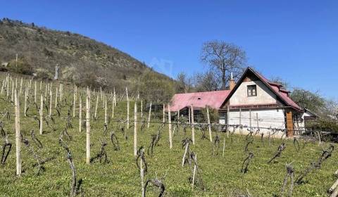 Sale Cottage, Cottage, Rožňava, Slovakia