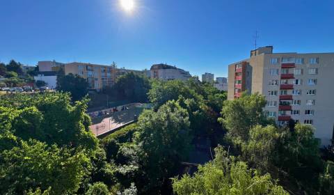 2-Room Apartment with Loggia, Balcony, Storage | Ladzianskeho, BA III