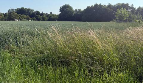 Sale Land – for living, Land – for living, Topoľčany, Slovakia