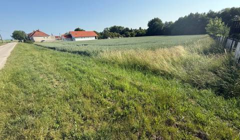 Sale Land – for living, Land – for living, Topoľčany, Slovakia