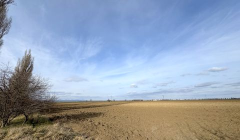 Sale Land plots - commercial, Land plots - commercial, Trnava, Slovaki