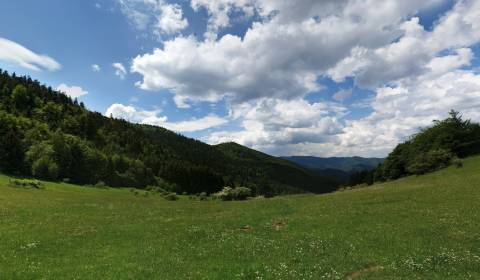 Sale Agrarian and forest land, Agrarian and forest land, Prievidza, Sl