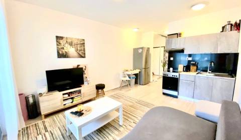 Rent Studio, Studio, Zuzany Chalupovej, Bratislava - Petržalka, Slovak