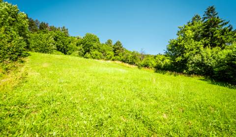 Sale Land – for living, Land – for living, Zábreh, Púchov, Slovakia