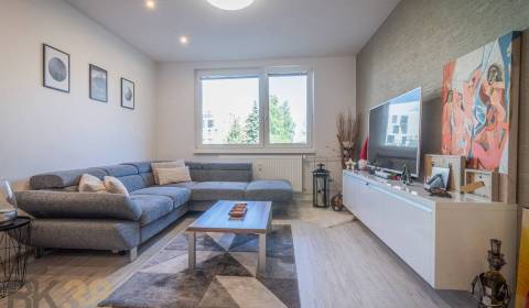Sale One bedroom apartment, One bedroom apartment, P.Jilemnického, Pop