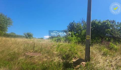 Sale Gardens, Levice, Slovakia