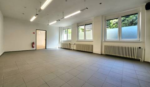 Rent Commercial premises, Commercial premises, Vysoká, Bratislava - St