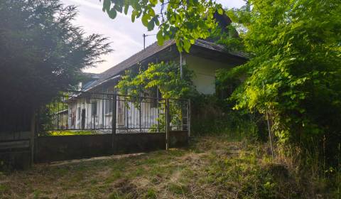 Sale Family house, Family house, Veľký Krtíš, Slovakia