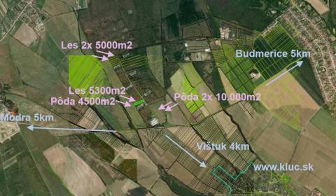 Sale Agrarian and forest land, Agrarian and forest land, Pezinok, Slov