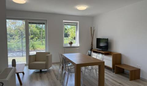 Rent One bedroom apartment, One bedroom apartment, Mahulanka, Pezinok,