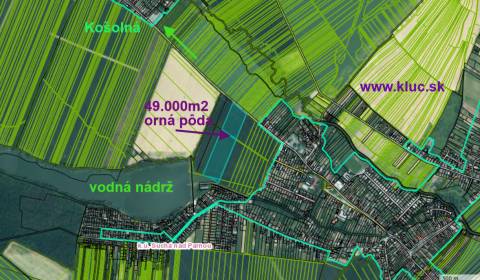 Sale Agrarian and forest land, Agrarian and forest land, Trnava, Slova