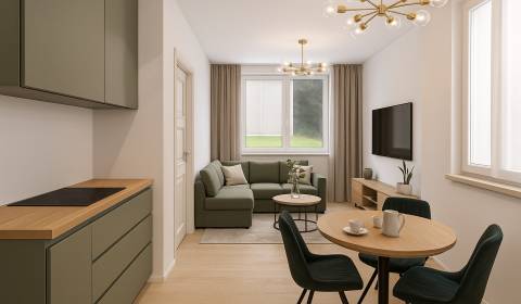 Sale One bedroom apartment, One bedroom apartment, Nové Mesto nad Váho