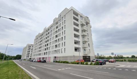 Sale Studio, Studio, Labutia, Bratislava - Petržalka, Slovakia