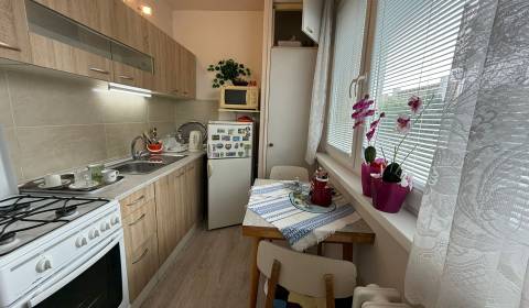 Rent One bedroom apartment, One bedroom apartment, Nejedlého, Bratisla