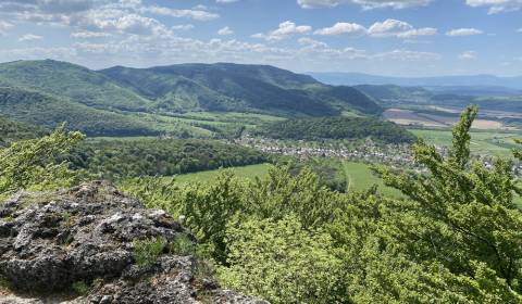 Sale Agrarian and forest land, Agrarian and forest land, Humenné, Slov