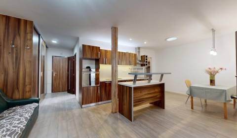 Rent One bedroom apartment, One bedroom apartment, Bratislavská, Skali