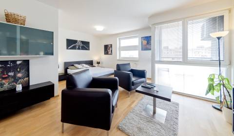 Cozy 1room apt 45m2, with loggia and parking, by the lake Draždiak