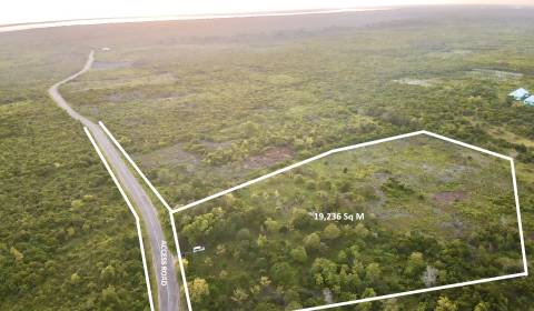 STUNNING INVESTMENT LAND IN KIZIMKAZI