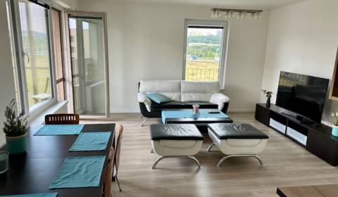 Rent One bedroom apartment, One bedroom apartment, Dominika Tatarku, B