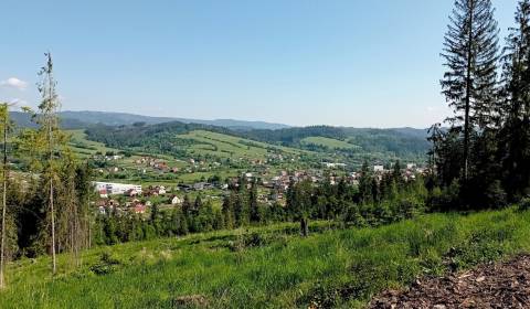 Sale Agrarian and forest land, Agrarian and forest land, Čadca, Slovak