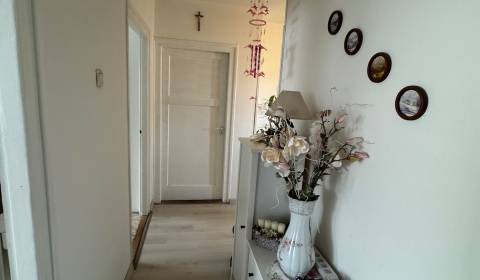 Sale One bedroom apartment, One bedroom apartment, Cintorínska, Levice