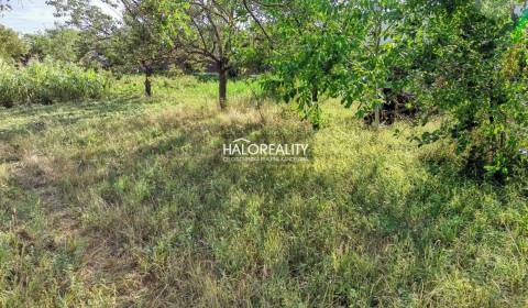 Sale Land – for living, Nové Mesto nad Váhom, Slovakia